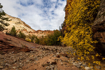Autumn along Pine Creek.