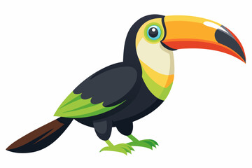 Beautiful Keel Billed Toucan bird white background vector illustration