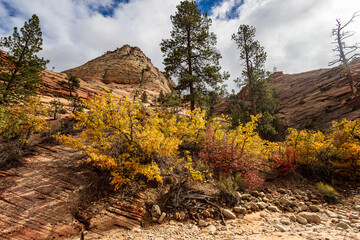 Beautiful autumn scenery along Pine Creek.