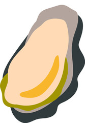 oyster illustration