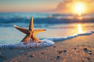Details from a sandy tropical beach