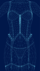 Sexy wireframe corset on woman isolated or blue background. Lingerie vector illustration.