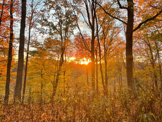 Fototapeta premium Fall Sunset