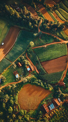 Aerial view of lush farmland with diverse crops and rustic buildings.