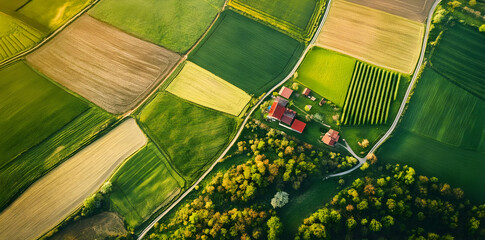 Aerial view of patchwork farmland with fields, trees, and a small cluster of buildings.