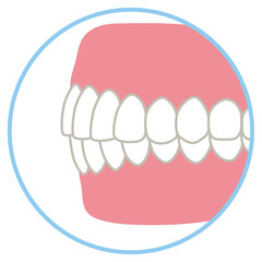 キレイな歯並び　歯科　歯列矯正