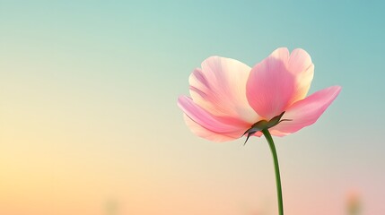 Fototapeta premium Pink Flower Against A Soft Pastel Sky Background