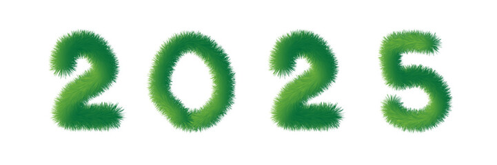 Abstract fluffy year 2025. Isolated on white background. 3D illustration. Furry font for graphic design. Concept conceptual 2025 year made of colorful lawn grass symbol . illustration as a metaphor fo