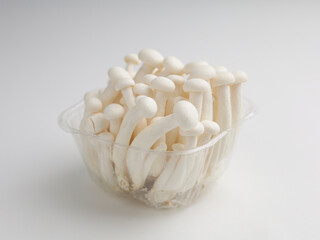 White shimeji mushroom on white background