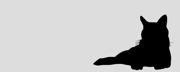 black cat silhouette on the gray background