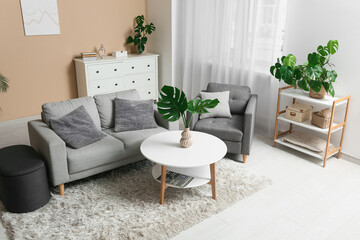 Modern interior of living room with tropical monstera leaves in vase on table and stylish sofa