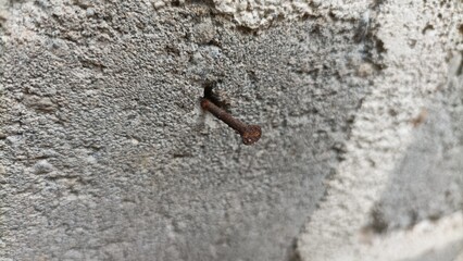A rusty nail stuck in the white wall