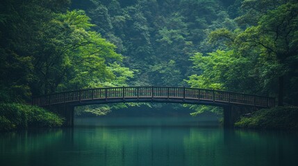 A serene wooden bridge spans a tranquil lake surrounded by lush greenery.