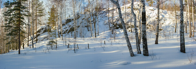 Magnificent snow-covered forest among rocks on the mountain, bright evening light illuminates treetops and snow.