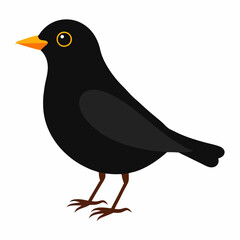 bird on a branch