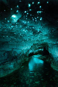 Glowworm cave and underground river, Waitomo caves, New Zealand
