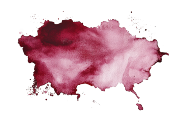 abstract watercolor paint splatter in red and pink hues on a transparent background