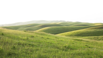 Obraz premium Serene rolling hills bathed in sunlight; a breathtaking vista of nature's artistry.