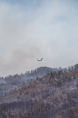 Durango, Colorado United States - Forest fire in the San Juan Mountains of Southern Colorado, Near Durango Colorado.