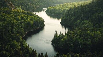Fototapeta premium Serene Winding River Through Lush Green Forest