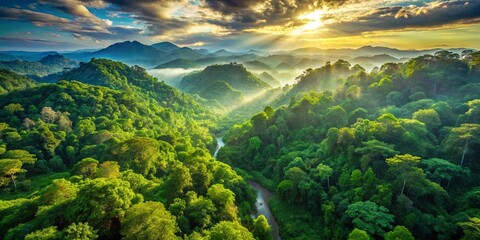 A Serene Tapestry of Lush Foliage and Sunlight Filtering Through Verdant Canopies, Illuminating a Winding River Carving Through the Heart of a Majestic Forest