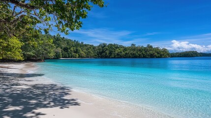 Fototapeta premium Serene Tropical Beach with Clear Water and Lush Green Surroundings