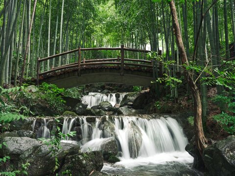 Rainy season waterfall cascading through bamboo forest in Anji mountains showcases nature's beauty