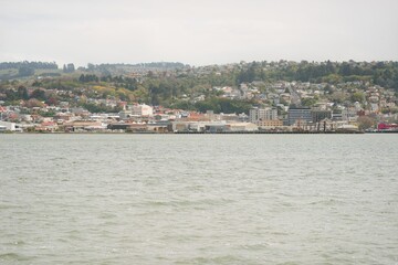 Dunedin Waterfront Skyline on a Cloudy Day, October 2024