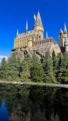 Naklejka premium castle in the morning