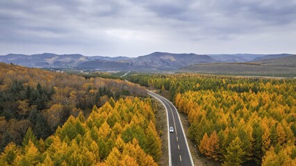 Exploring the autumn landscape of Ulanbutun in Inner Mongolia with vibrant colors and winding roads