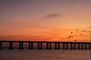 Fototapeta premium Stunning sunset view of Shenzhen Yanjiang Expressway over tranquil water with silhouette of flying birds