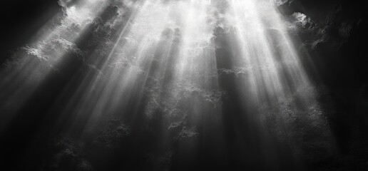Obraz premium High Contrast Black and White Abstract Texture Soft Focus Ethereal Light Beams Mysterious Depth Graphic Design