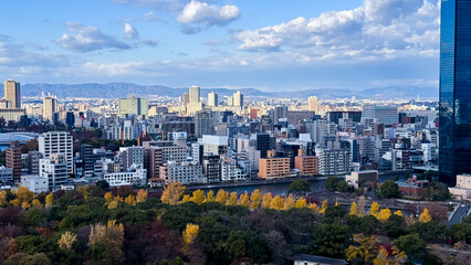 panorama of the city
