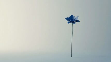 Single Blue Flower Minimalist Studio Background