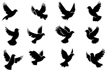 Silhouettes of Flying Birds with Dynamic Wing Positions and Graceful Movements