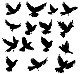 Silhouettes of Flying Birds in Varied Poses and Wing Spreads