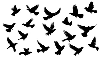 Silhouettes of Flying Birds in Various Wing Positions