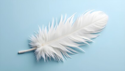 Obraz premium white feather on blue background