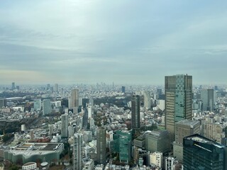 Obraz premium 東京の高層ビルから見下ろした街の風景