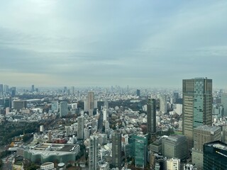 Fototapeta premium 東京の高層ビルから見下ろした街の風景