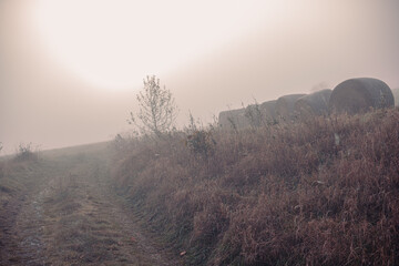 Round bales of straw. Foggy early morning, field, yellowed grass and tree leaves. Fields of Germany