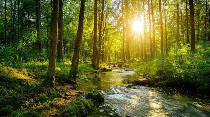 Obraz premium A vibrant forest ecosystem teeming with life, showcasing tall trees with lush green leaves, a stream flowing gently under the sunlight, and a variety of wildlife interact