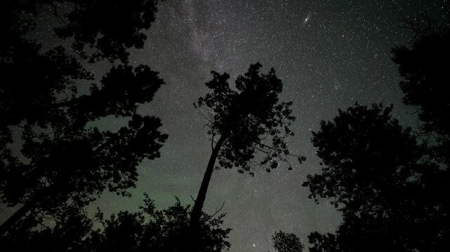 Time lapse looking up at a star filled sky as they move above silhouettes of trees, Includes the galaxy Andromeda at the start of the clip