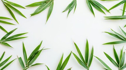 Naklejka premium Fresh Green Bamboo Leaves on White Background