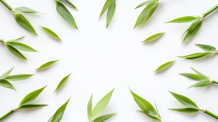 Naklejka premium Fresh Bamboo Leaves Pattern on White Background