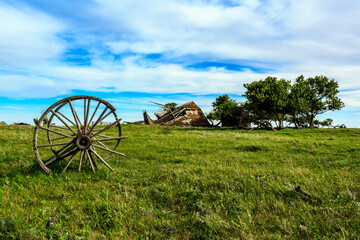 A wheel is sitting in a field of grass