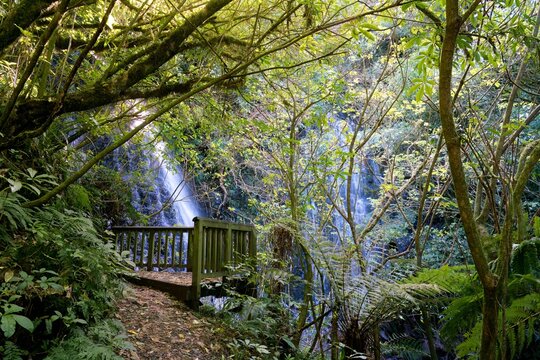 Bara Falls Hidden Behind Lush Forest Plants, Waterfall in Dense Foliage