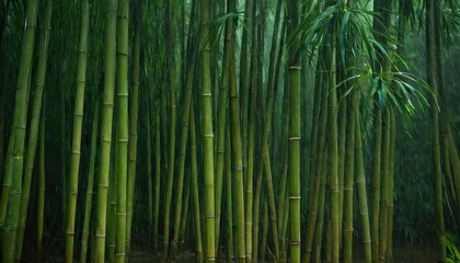 Fototapeta premium Bamboo grove in a batany park, green bamboo. Bamboo forest 301