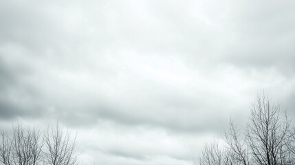 Overcast Sky with Bare Branches: A minimalist backdrop of a muted gray sky with wispy clouds, punctuated by the stark silhouette of bare tree branches.