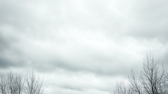 Overcast Sky with Bare Branches: A minimalist backdrop of a muted gray sky with wispy clouds, punctuated by the stark silhouette of bare tree branches. - Powered by Adobe